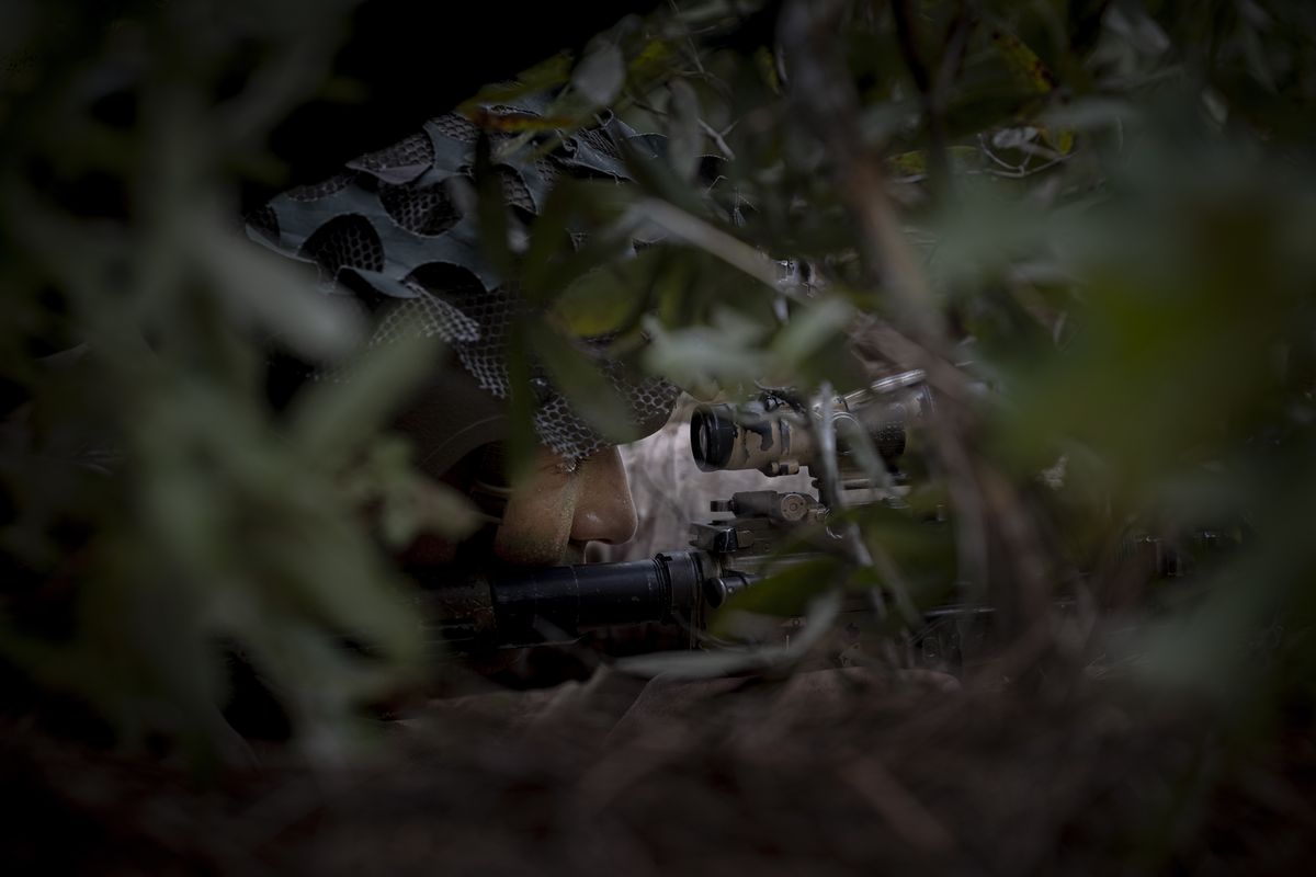 A camouflaged Marine sights an M38 Designated Marksman Rifle through vegetation from a skirmisher hole at Camp Lejeune